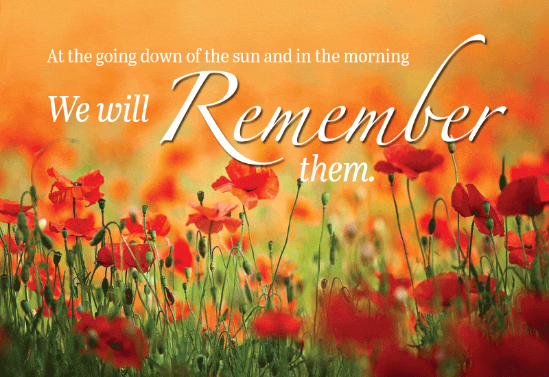 Anzac Day field of poppies