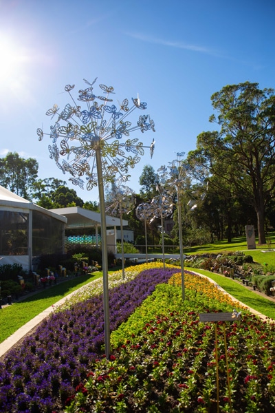 Dandelion Project, Rookwood Catholic Cemetery